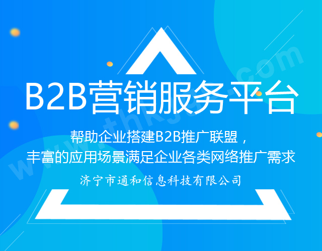 图二B2B营销服务平台.jpg